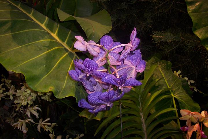 L_W 076.jpg